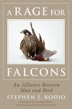 Cover A Rage for Falcons (eBook, ePUB)