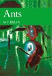Ants (eBook, ePUB) - Bild 1