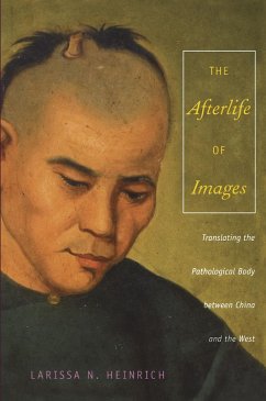 Afterlife of Images (eBook, PDF) - Ari Larissa Heinrich, Heinrich