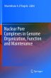 Nuclear Pore Complexes in Genome... - Bild 1