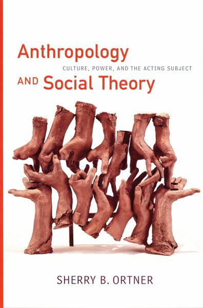 Anthropology and Social Theory (eBook, PDF)
