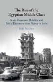 Rise of the Egyptian Middle Class (eBook, ePUB)
