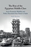 Rise of the Egyptian Middle Class (eBook, PDF)