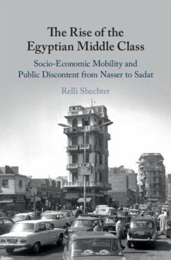 Cover Rise of the Egyptian Middle Class (eBook, PDF)