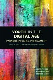Youth in the Digital Age (eBook, ePUB)