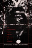 In Darkness and Secrecy (eBook, PDF)