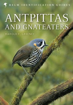 Antpittas and Gnateaters (eBook, PDF) - Greeney, Harold