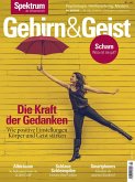 Gehirn&Geist 2/2019 Die Kraft der Gedanken (eBook, PDF)