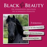 Black Beauty Die Spannenden Abenteuer Des Schwarze