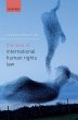 The Idea of International Human Rights... - Bild 1