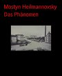 Das Phänomen (eBook, ePUB) - Bild 1