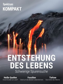 Spektrum Kompakt - Entstehung des Lebens (eBook, PDF)