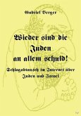Wieder sind die Juden an allem schuld! (eBook, ePUB)