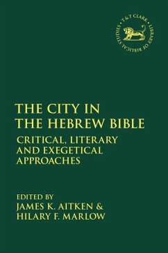 Cover The City in the Hebrew Bible (eBook, PDF)