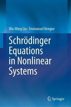 Schrödinger Equations in Nonlinear Systems - Liu, Wu-Ming;Kengne, Emmanuel