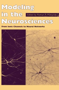 Cover Modeling in the Neurosciences (eBook, PDF)