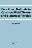 Functional Methods in Quantum Field Theory and Statistical Physics (eBook, ePUB)
