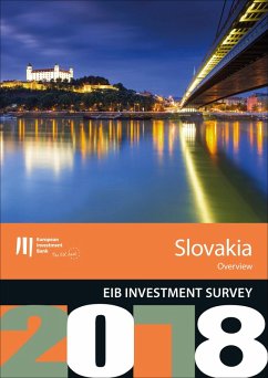 Cover EIB Investment Survey 2018 - Slovakia overview (eBook, ePUB)