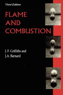 Cover Flame and Combustion (eBook, ePUB)
