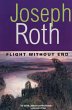 Flight Without End (eBook, ePUB) - Bild 1