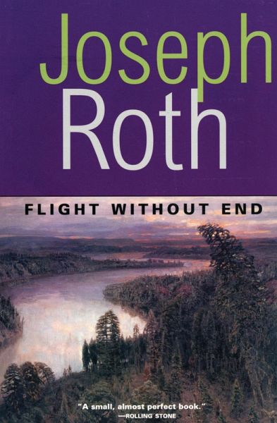 Flight Without End (eBook, ePUB)