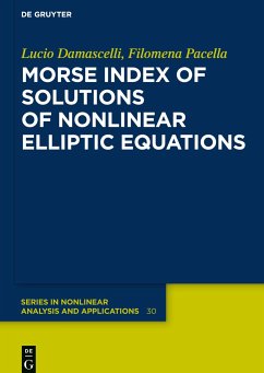 Morse Index of Solutions of Nonlinear Elliptic Equations - Damascelli, Lucio;Pacella, Filomena