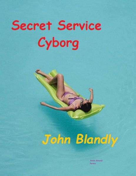 Secret Service Cyborg (eBook, ePUB) Secret Service Cyborg (eBook, ePUB)