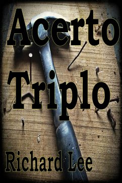 Acerto Triplo (eBook, ePUB) - Pletzers, Lee