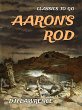 Aaron's Rod (eBook, ePUB) - Bild 1