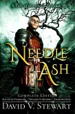 Needle Ash (Eternal Dream, #2) (eBook, ePUB)