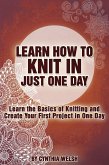 Learn How to Knit in Just One Day. Learn the Basics of Knitting and Create Your First Project in One Day (eBook, ePUB)