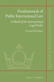 Fundamentals of Public International Law: A Sketch of the International Legal Order