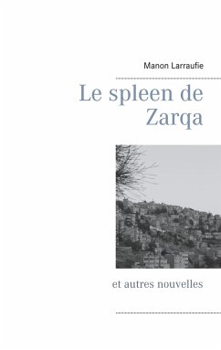 Le spleen de Zarqa - Larraufie, Manon