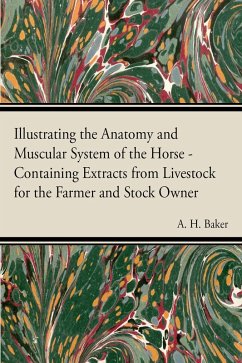 Illustrating the Anatomy and Muscular System of the Horse - Containing Extracts from Livestock for the Farmer and Stock Owner (eBook, ePUB) - Baker, A. H.