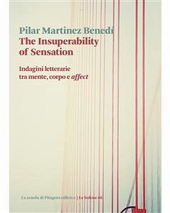 The Insuperability of Sensation (eBook, PDF) - Martinez Benedí, Pilar