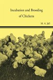 Incubation and Brooding of Chickens (eBook, ePUB)