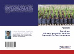 Date Palm Micropropagation Protocol from cell Suspension culture - Abohatem, Mansour;Baaziz, Mohmmed