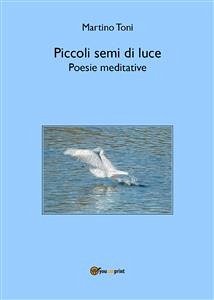 Piccoli semi di luce - Poesie meditative (eBook, ePUB) - Toni, Martino