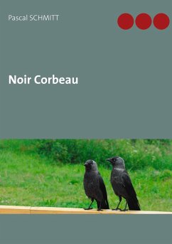 Noir Corbeau - Schmitt, Pascal