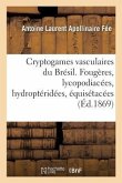 Cryptogames Vasculaires Du Brésil. Fougères, Lycopodiacées, Hydroptéridées, Équisétacées