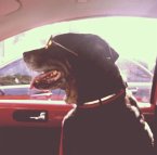 Be Epic, Choose Love. (eBook, ePUB)