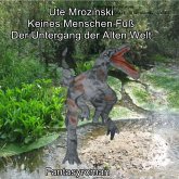 Keines Menschen Fuß (eBook, ePUB)