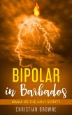 Bipolar in Barbados: Mania or the Holy Spirit? (eBook, ePUB)