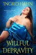 Willful Depravity (eBook, ePUB) - Bild 1