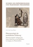 Phänomenologie der sinnbildlichen Erfahrung (eBook, PDF)