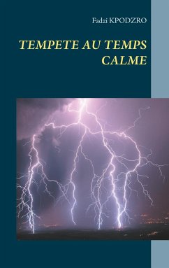 TEMPETE AU TEMPS CALME - Kpodzro, Fadzi