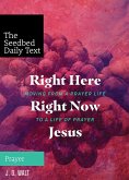 Right Here, Right Now, Jesus (eBook, ePUB) Right Here, Right Now, Jesus (eBook, ePUB)