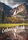 Lebensfluss (eBook, ePUB)