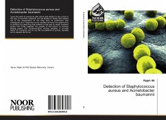 Detection of Staphylococcus aureus and Acinetobacter baumannii - Ali, Rajeh