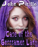 Sherlock Holmes Case of the Gossamer Lady (eBook, ePUB)